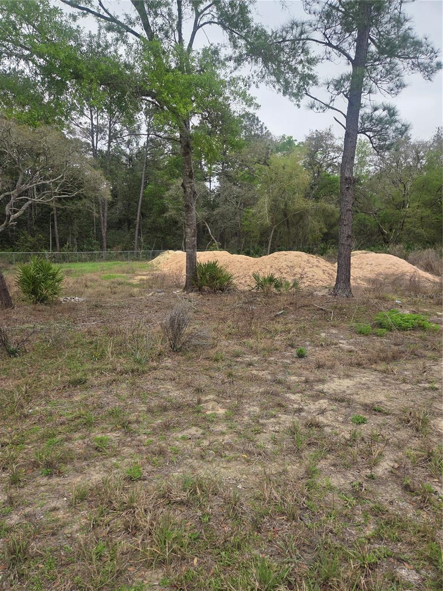 127 SEQUOIA TRL, OCKLAWAHA, FL — photo 3