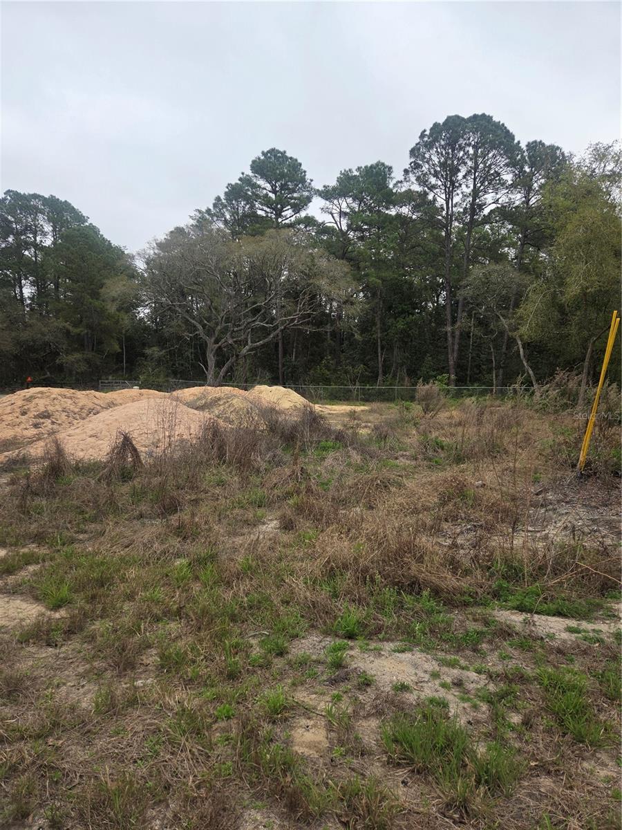 127 SEQUOIA TRL, OCKLAWAHA, FL — photo 4