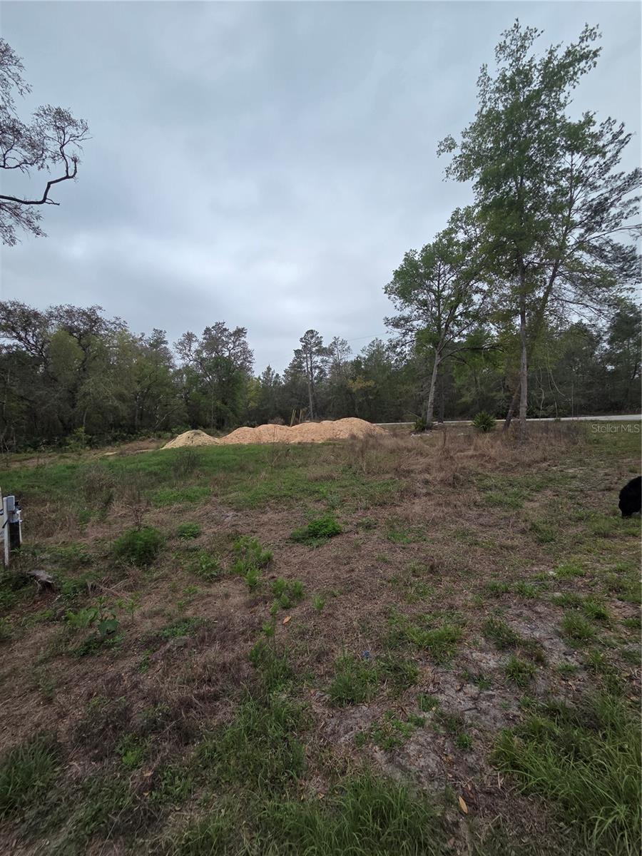 127 SEQUOIA TRL, OCKLAWAHA, FL — photo 5