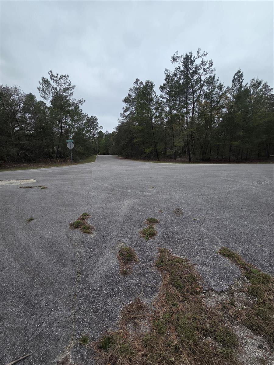 127 SEQUOIA TRL, OCKLAWAHA, FL — photo 7
