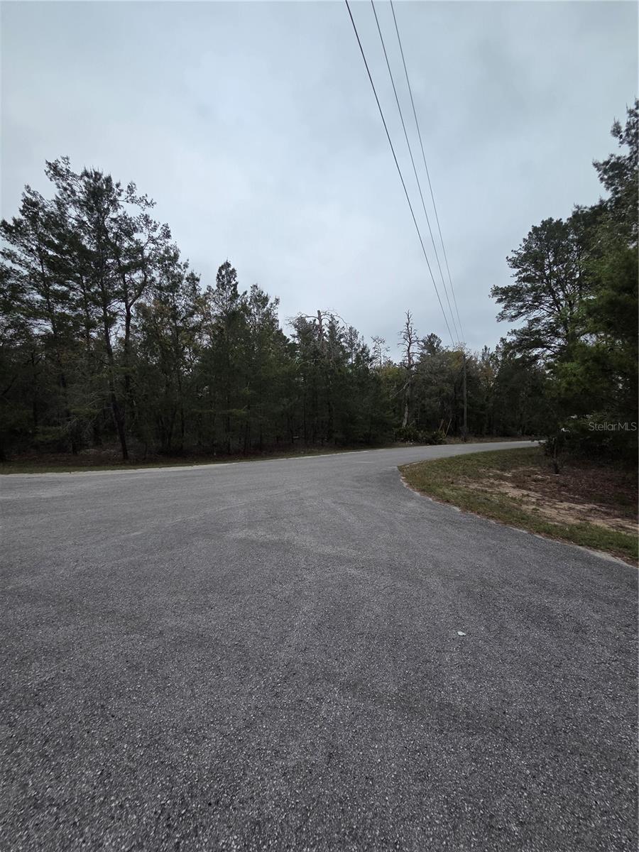 127 SEQUOIA TRL, OCKLAWAHA, FL — photo 8