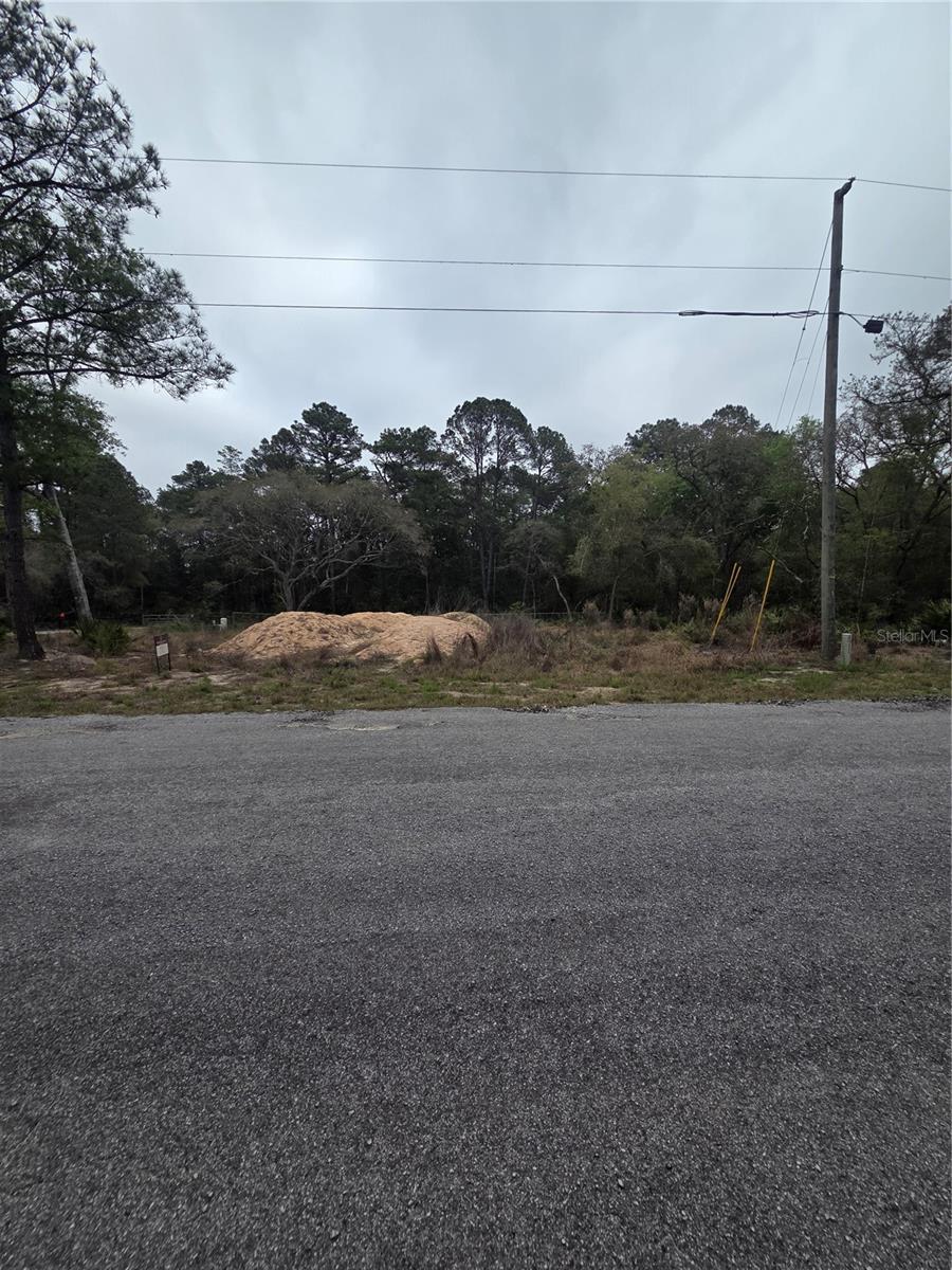127 SEQUOIA TRL, OCKLAWAHA, FL — photo 9