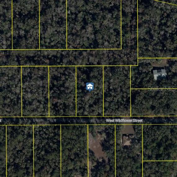 11939 W WILDFLOWER ST, CRYSTAL RIVER, FL — photo 3