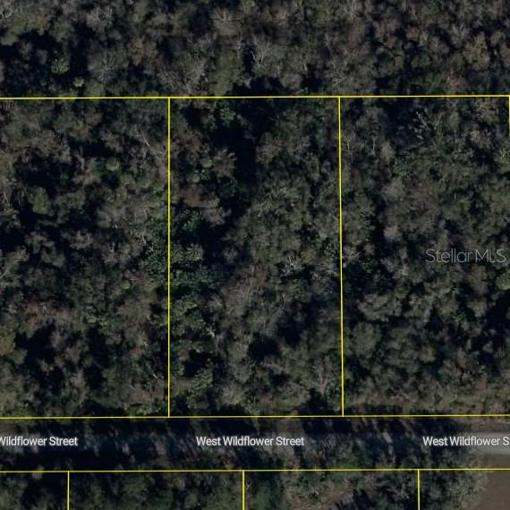 11939 W WILDFLOWER ST, CRYSTAL RIVER, FL — photo 4