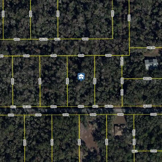 11939 W WILDFLOWER ST, CRYSTAL RIVER, FL — photo 2