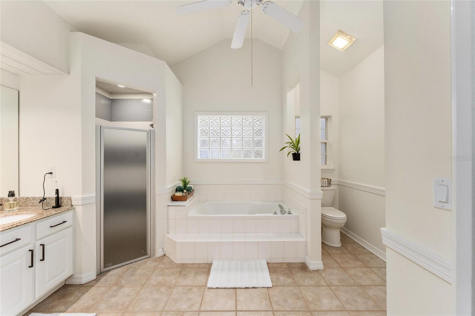 7237 EDMUND CT, MOUNT DORA, FL — photo 11