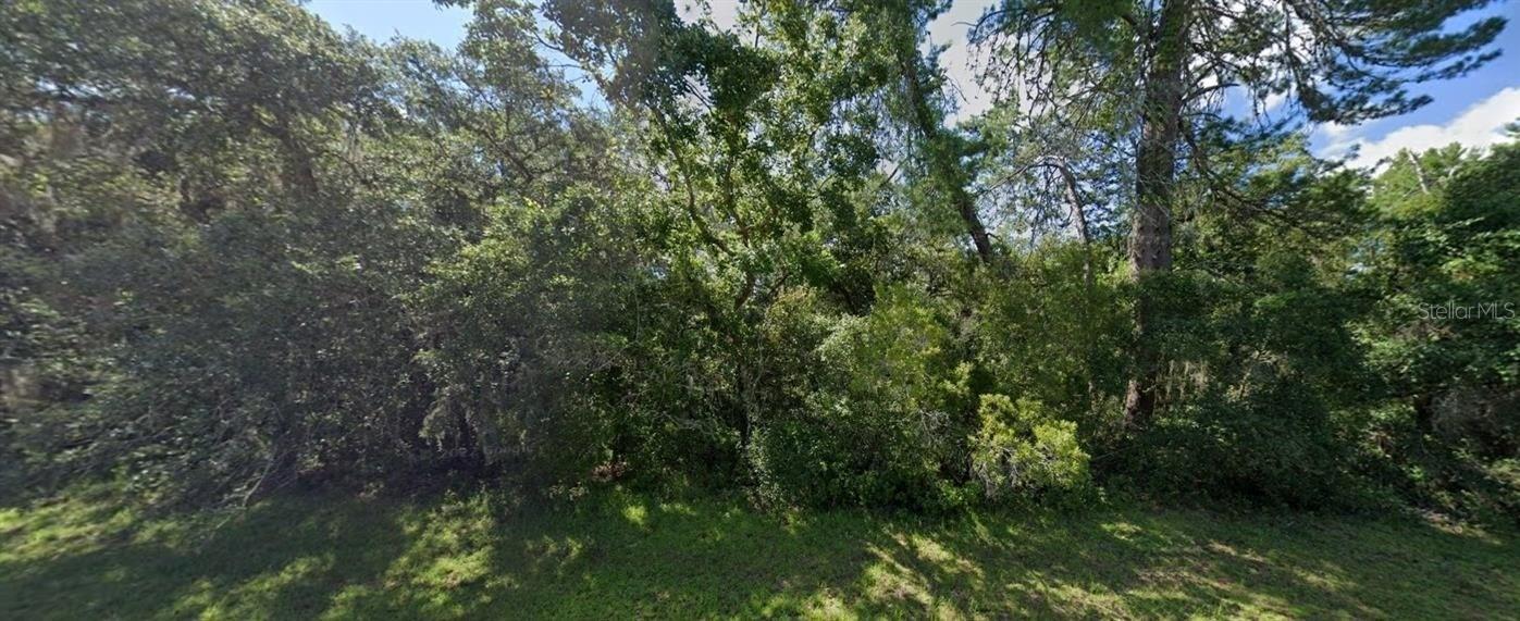 SW 19TH AVENUE RD, OCALA, FL — photo 3