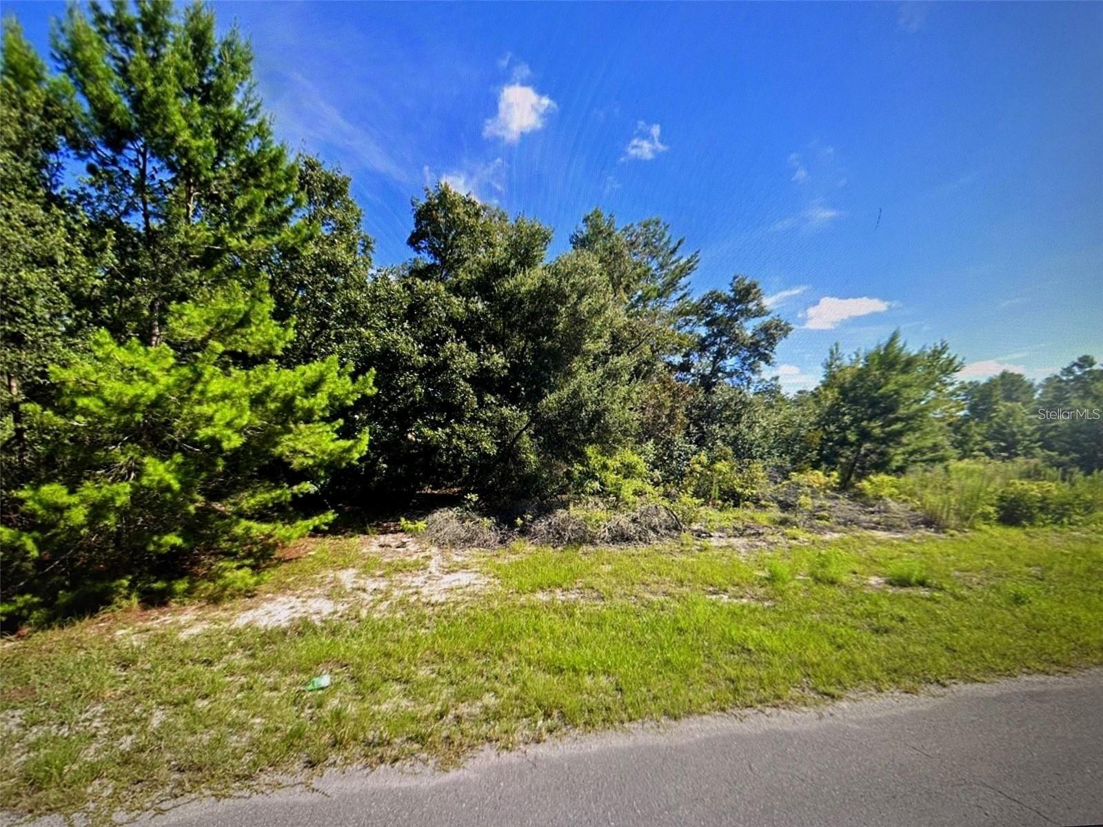 SW 41ST CT, OCALA, FL — photo 3