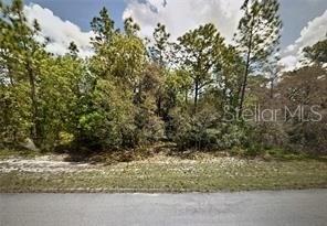 MARION OAKS PASS, OCALA, FL — photo 3