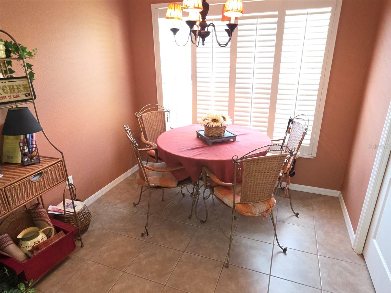 11442 TURTLE DOVE PL, NEW PORT RICHEY, FL — photo 11