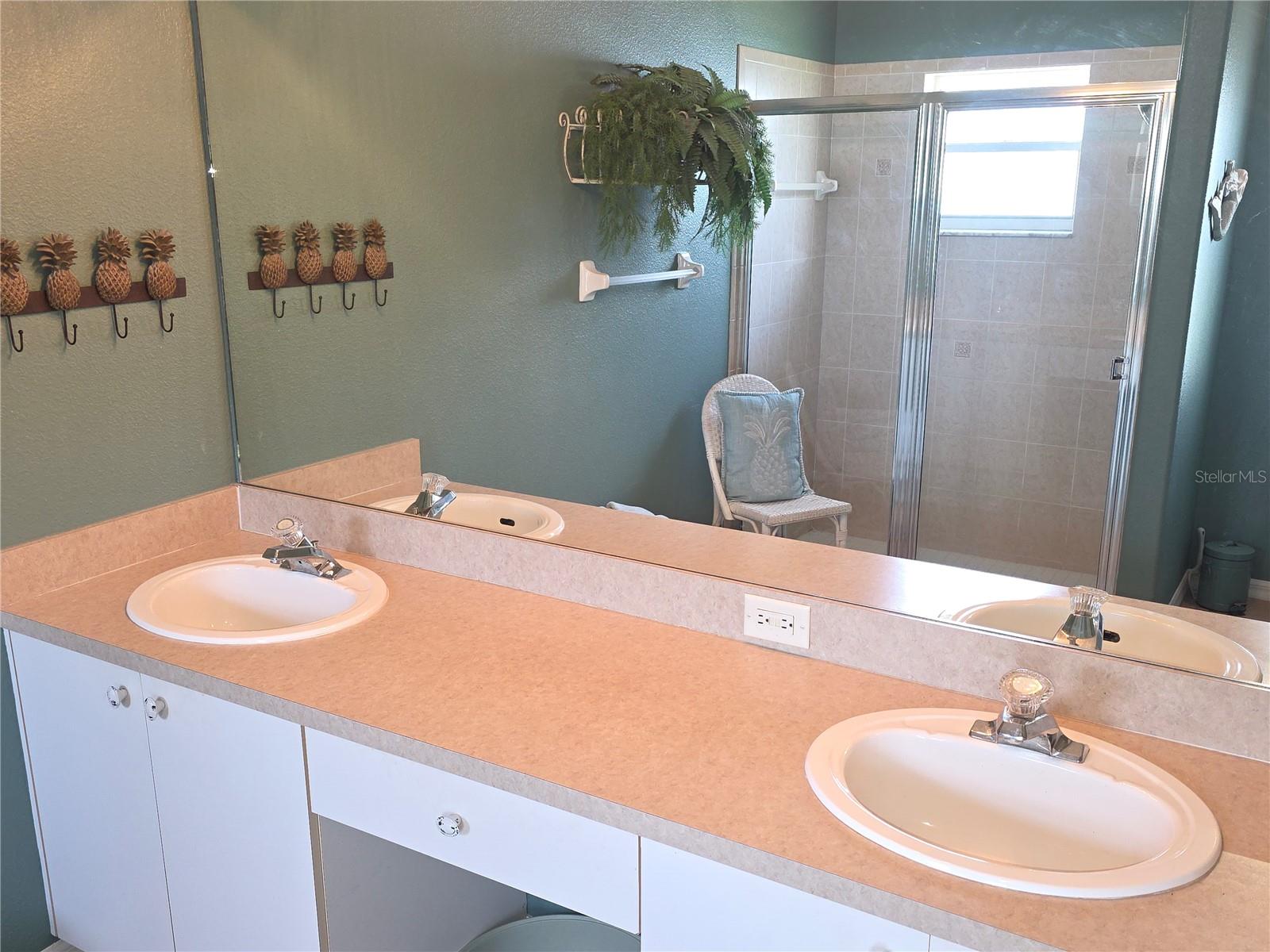11442 TURTLE DOVE PL, NEW PORT RICHEY, FL — photo 16