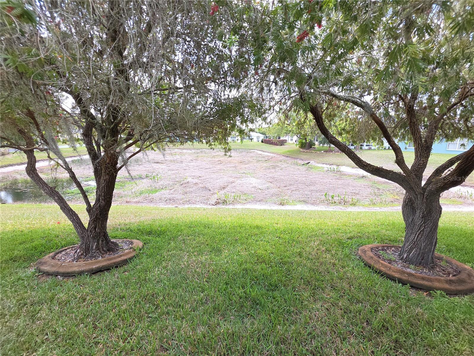 11442 TURTLE DOVE PL, NEW PORT RICHEY, FL — photo 22