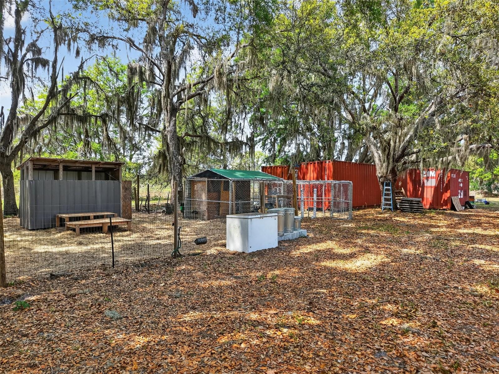 22431 LOOP RD, GROVELAND, FL — photo 58