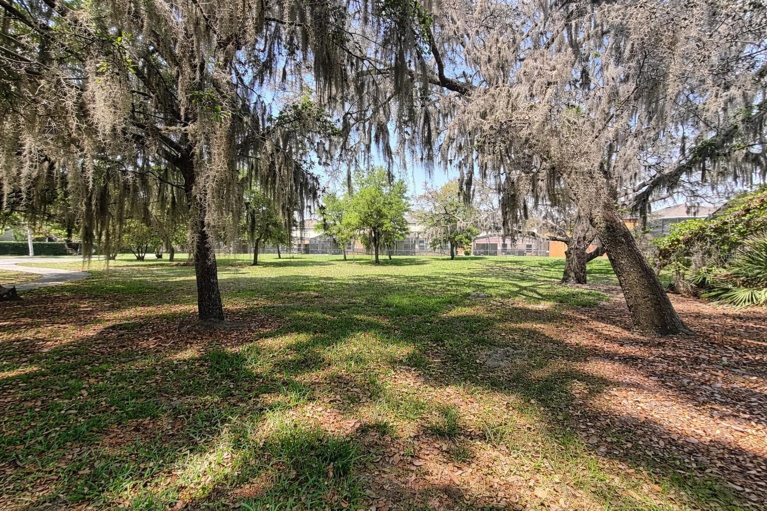 2618 SANTOSH CV, KISSIMMEE, FL — photo 28