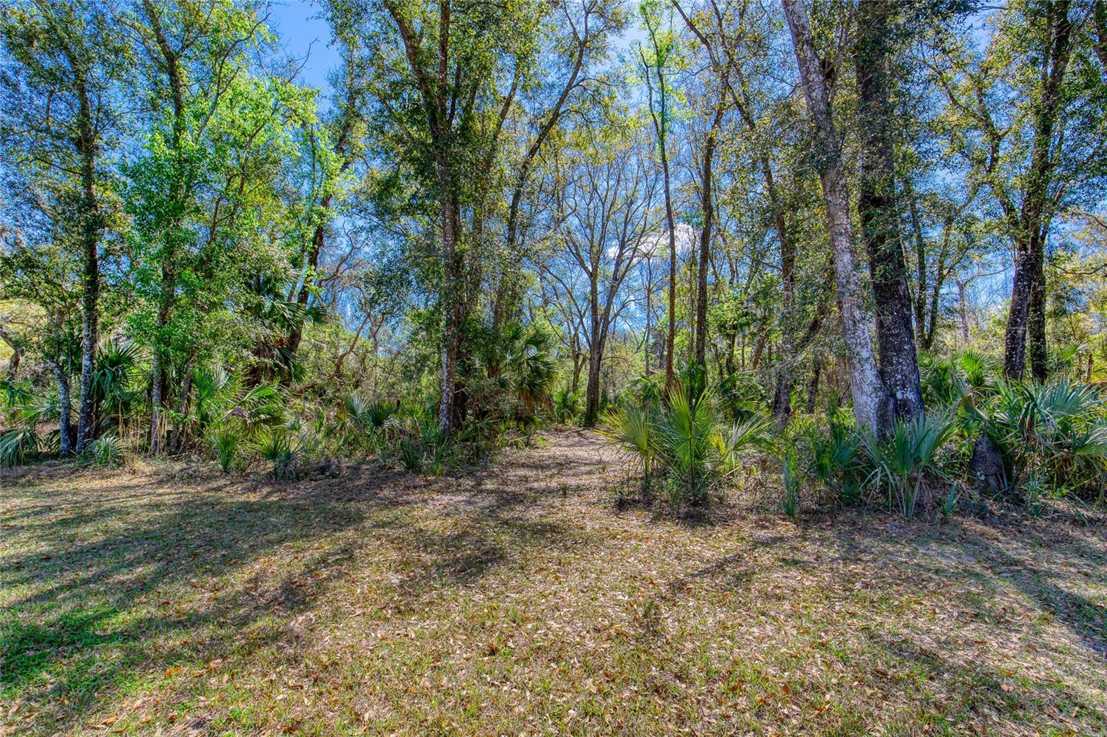 1801 ADRIAN CREEK BLVD, PORT ORANGE, FL — photo 7