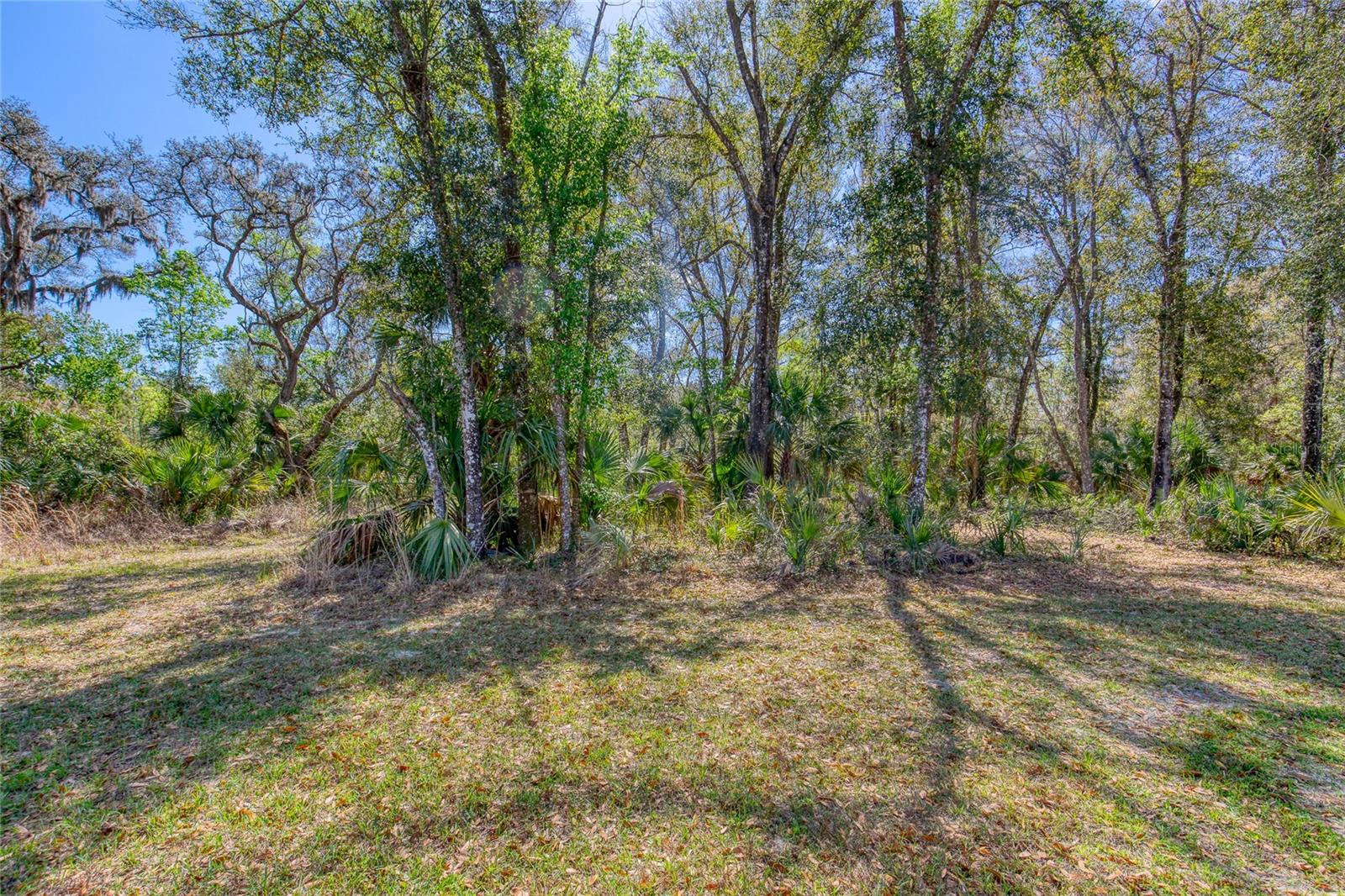 1801 ADRIAN CREEK BLVD, PORT ORANGE, FL — photo 8