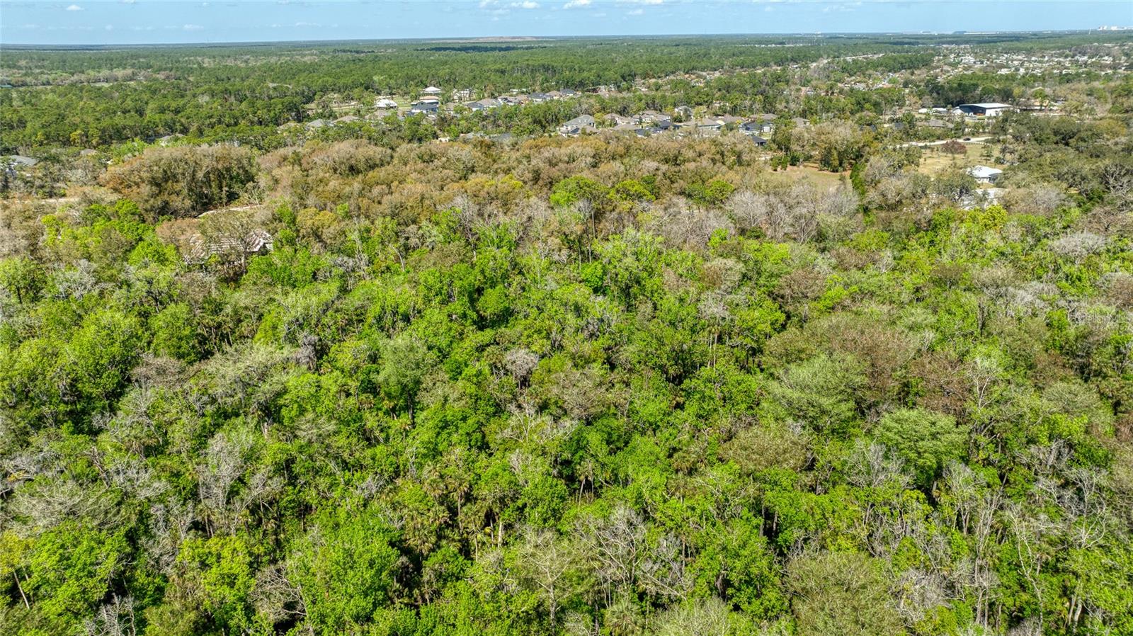 1801 ADRIAN CREEK BLVD, PORT ORANGE, FL — photo 16