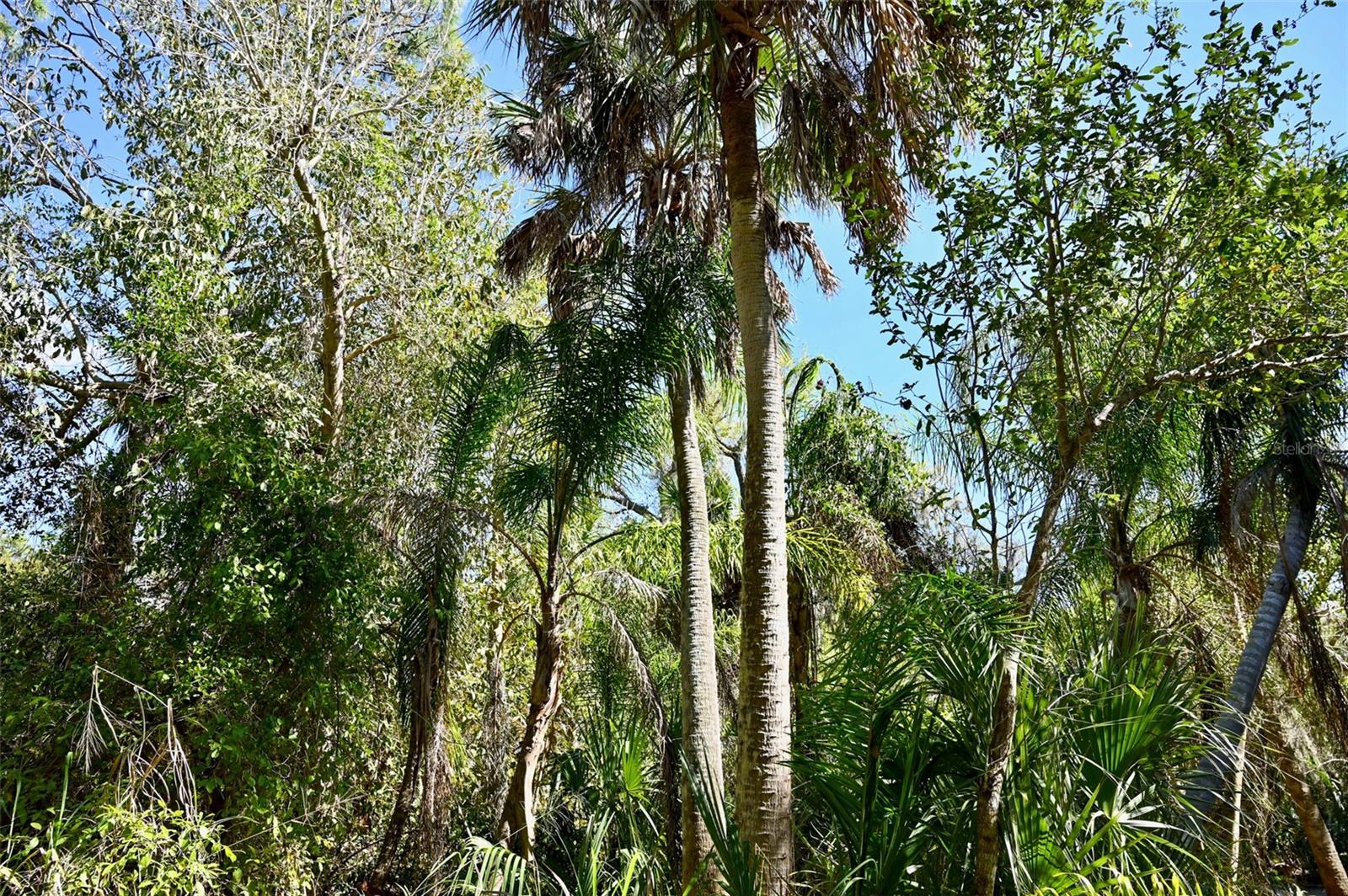 22901 BAYSHORE RD, PUNTA GORDA, FL — photo 4