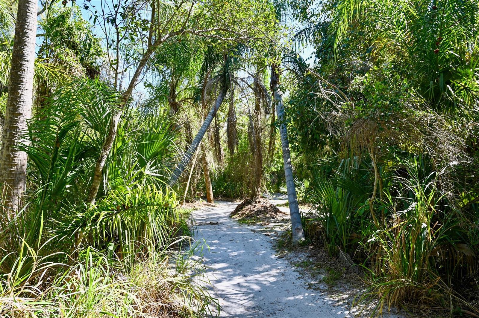 22901 BAYSHORE RD, PUNTA GORDA, FL — photo 6