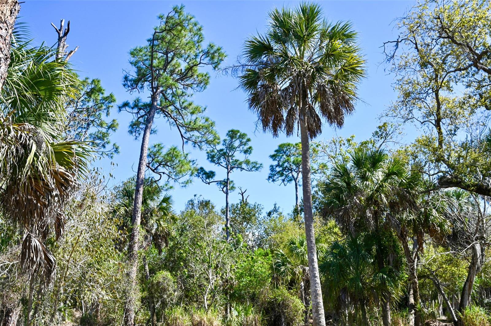 22901 BAYSHORE RD, PUNTA GORDA, FL — photo 10