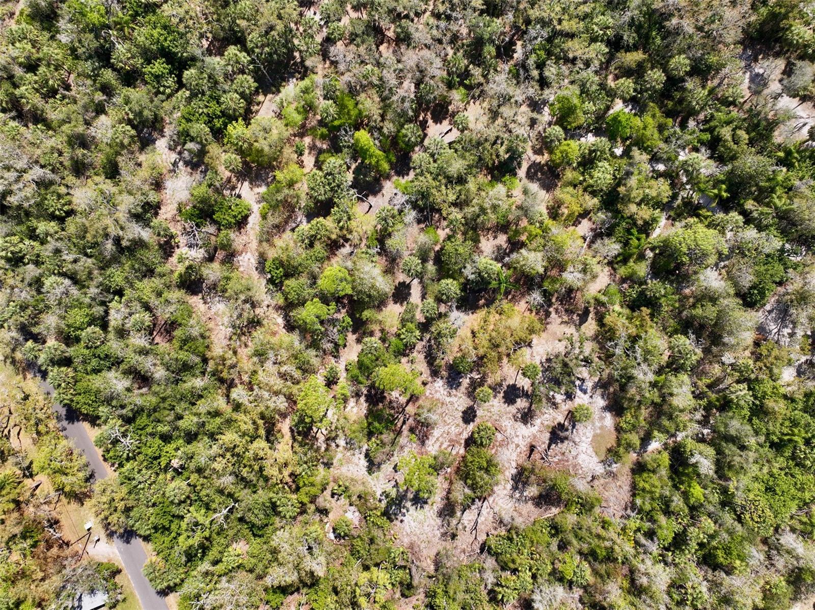 22901 BAYSHORE RD, PUNTA GORDA, FL — photo 11