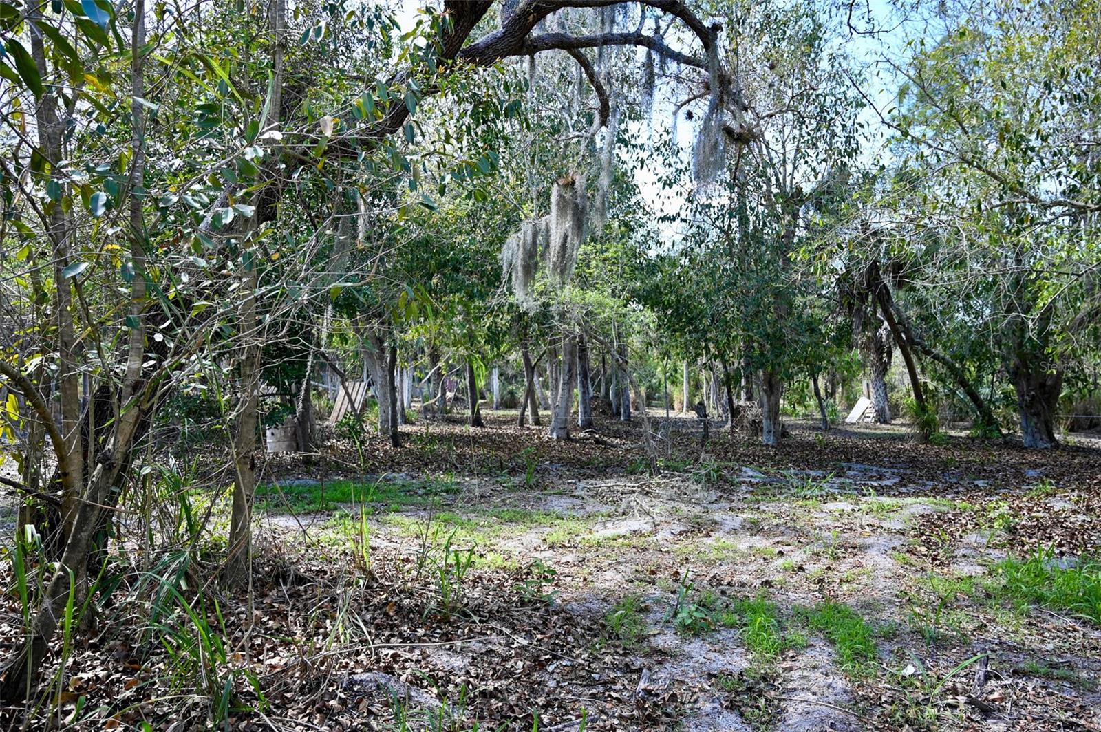 22901 BAYSHORE RD, PUNTA GORDA, FL — photo 14