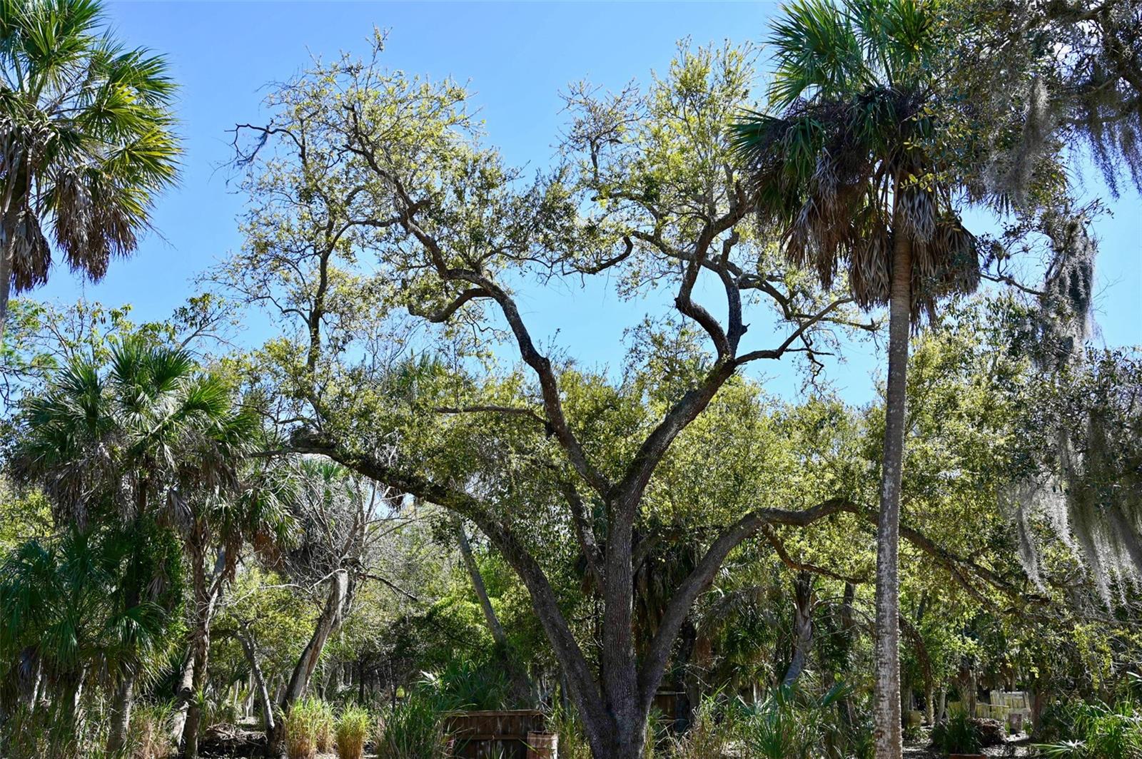22901 BAYSHORE RD, PUNTA GORDA, FL — photo 16
