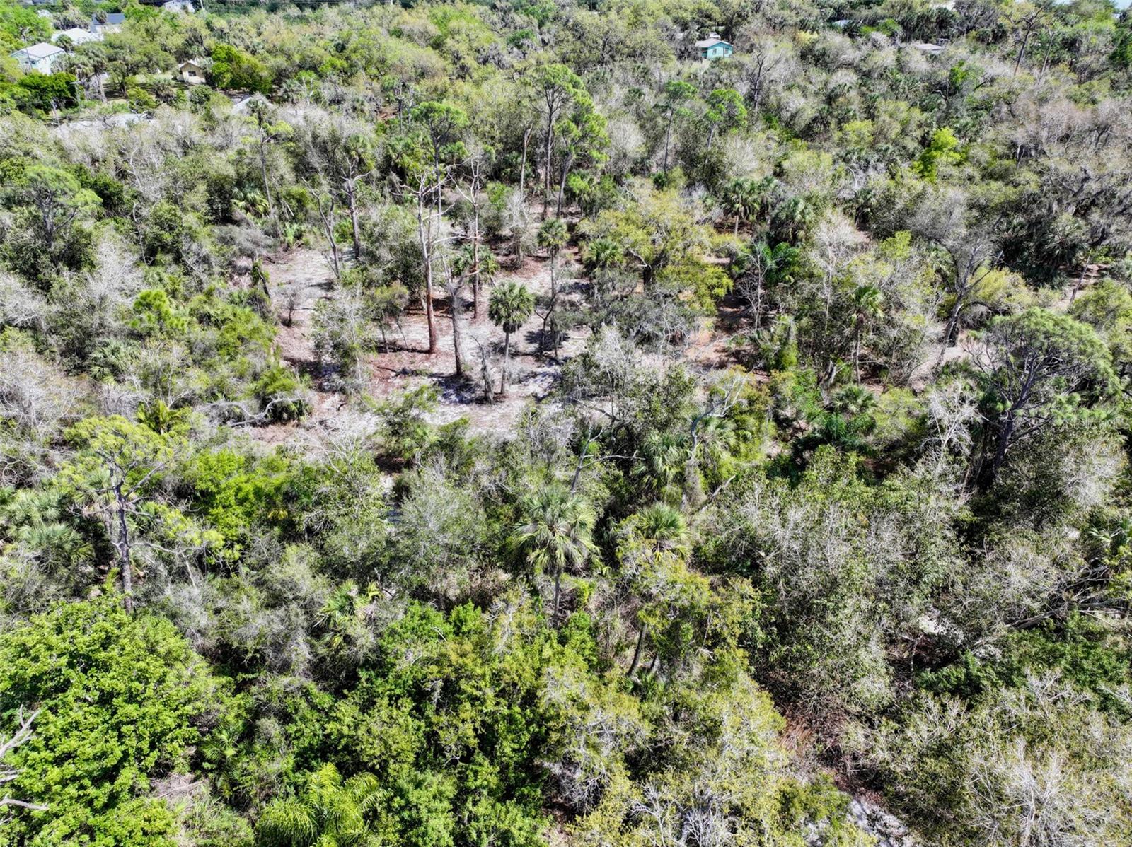 22901 BAYSHORE RD, PUNTA GORDA, FL — photo 23