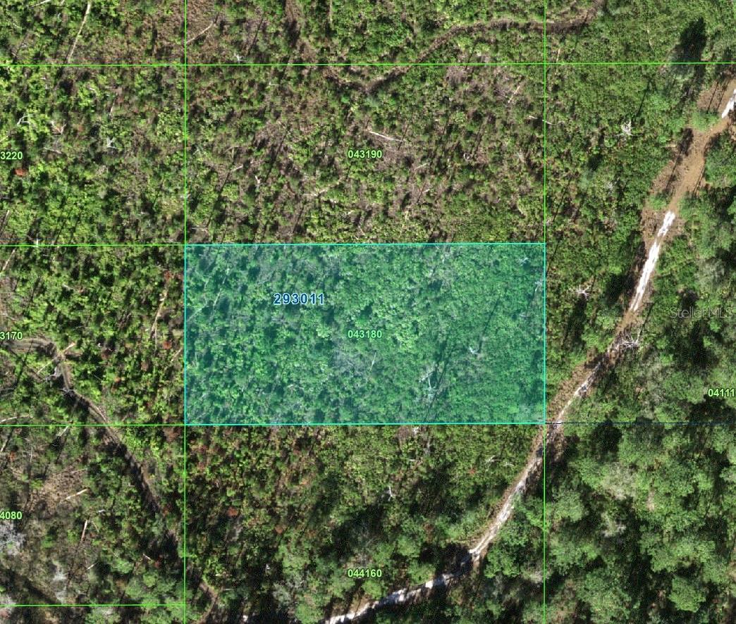 TIGER RD, LAKE WALES, FL