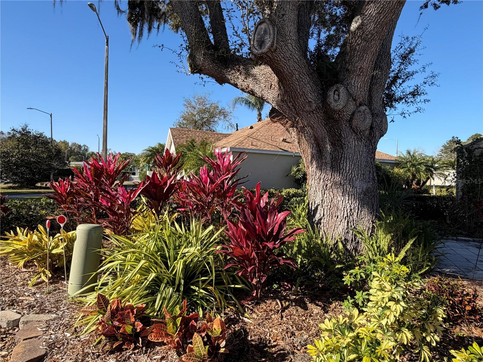20300 LEONARD RD #78, LUTZ, FL — photo 39