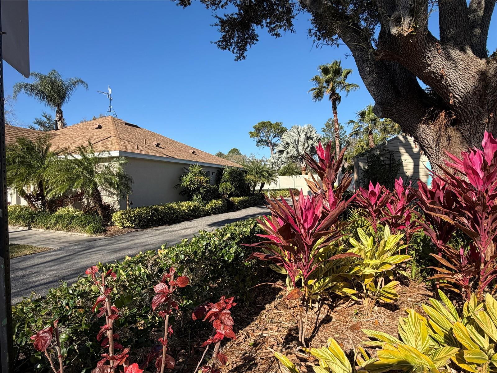 20300 LEONARD RD #78, LUTZ, FL — photo 38