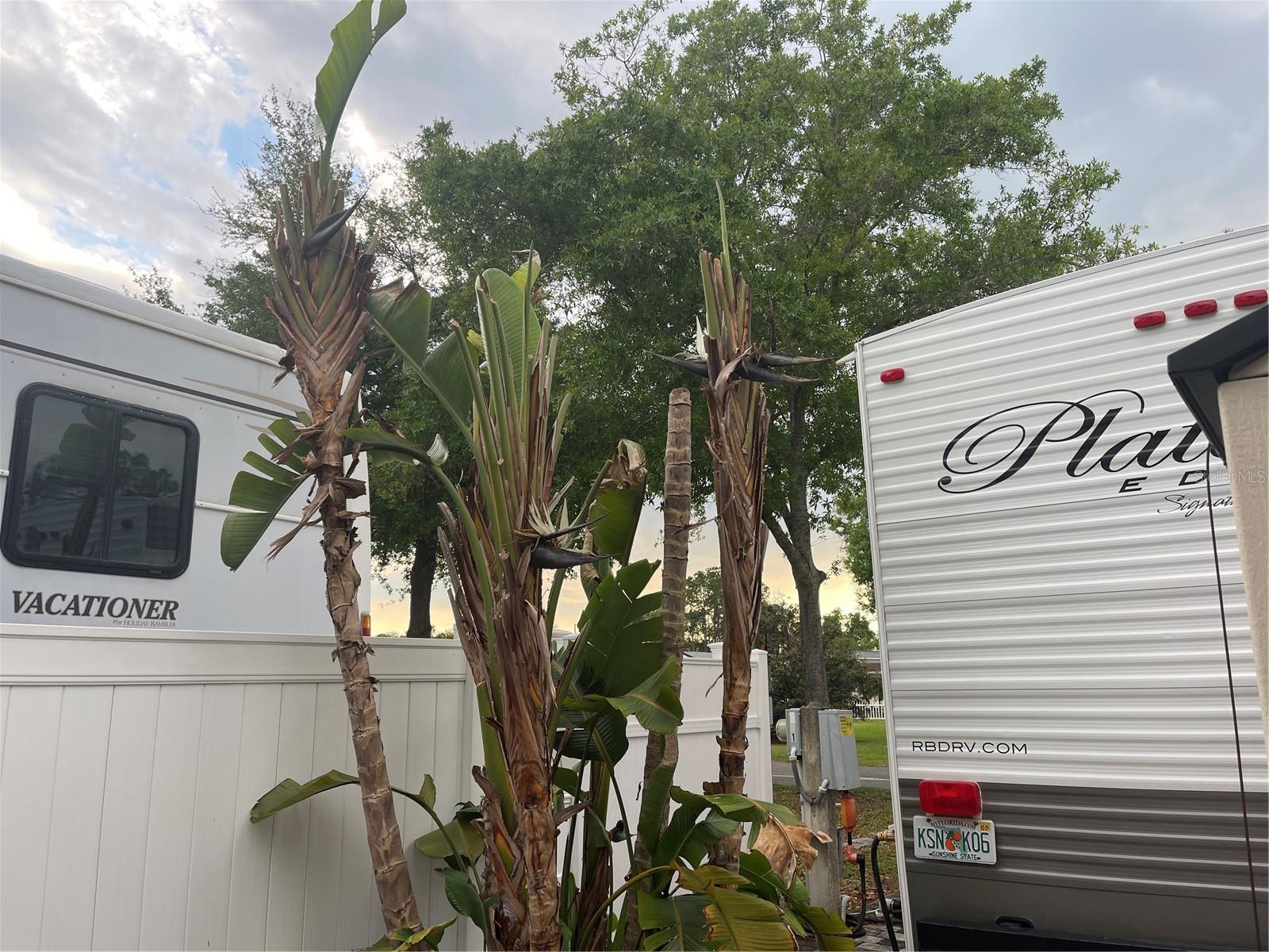 20300 LEONARD RD #78, LUTZ, FL — photo 27