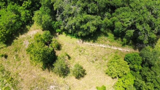 4026 N ORANGE BLOSSOM TRL, MOUNT DORA, FL