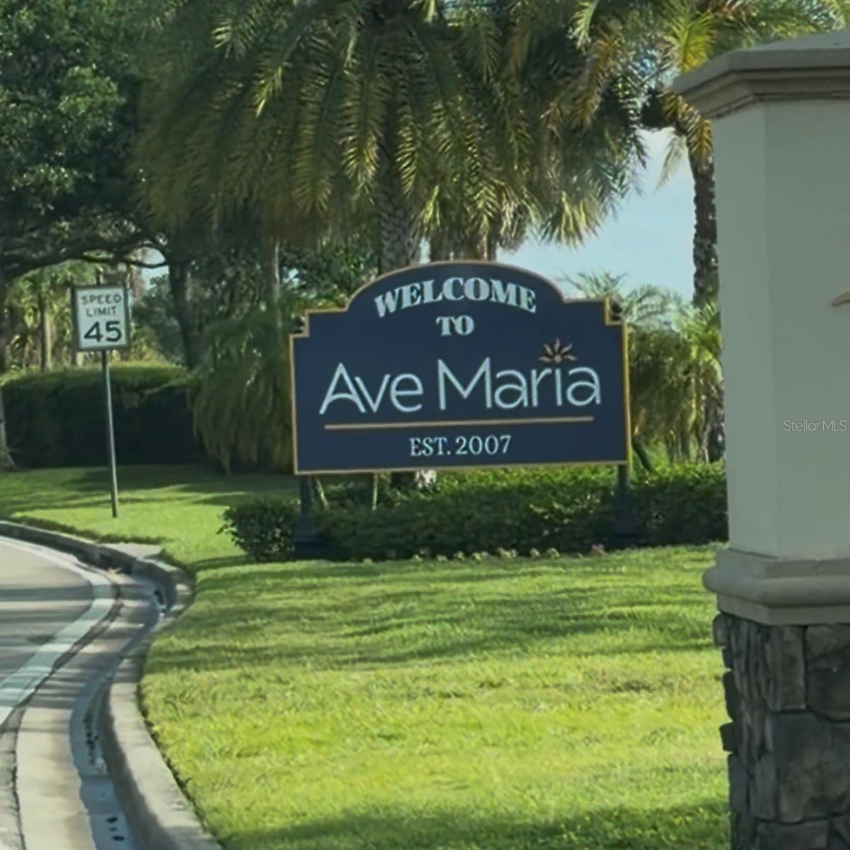 5868 AGOSTINO WAY, AVE MARIA, FL — photo 63