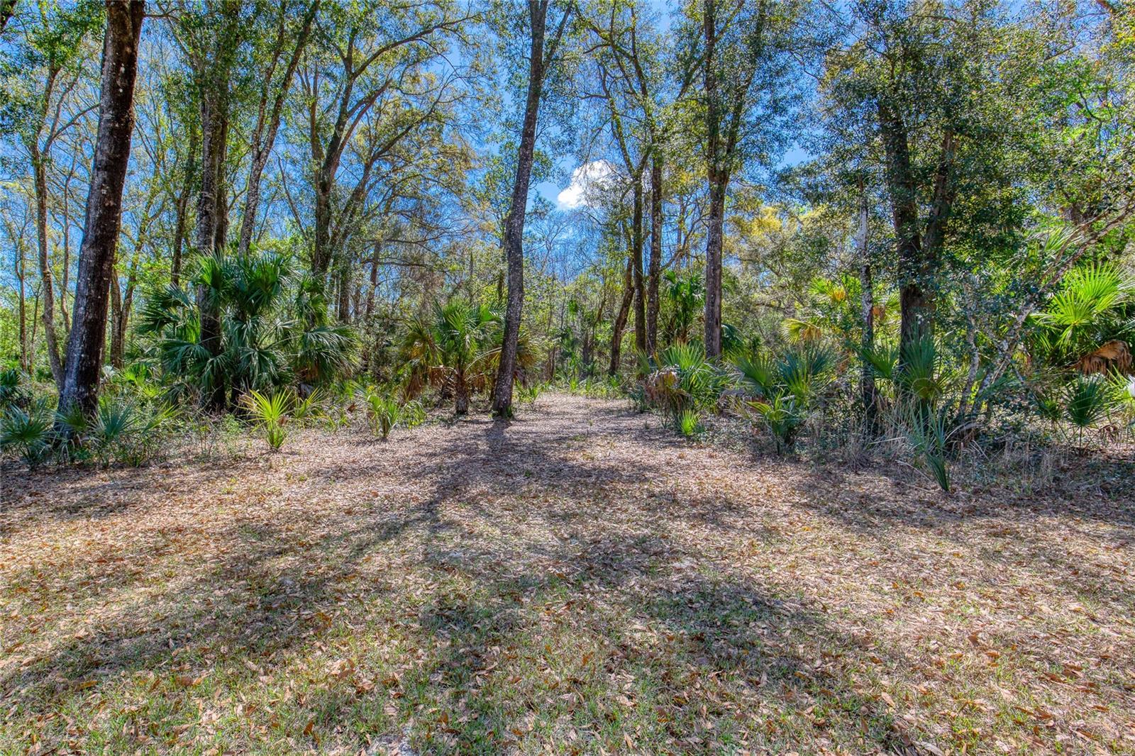 1805 ADRIAN CREEK BLVD, PORT ORANGE, FL — photo 6