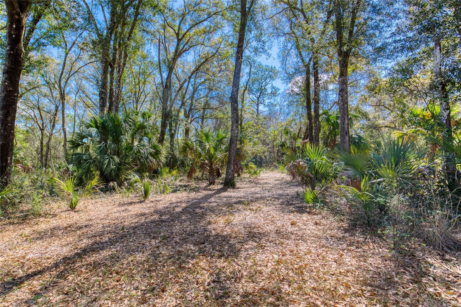 1805 ADRIAN CREEK BLVD, PORT ORANGE, FL — photo 7