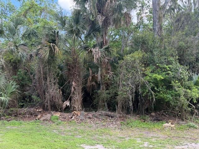 CR 234, MICANOPY, FL — photo 5