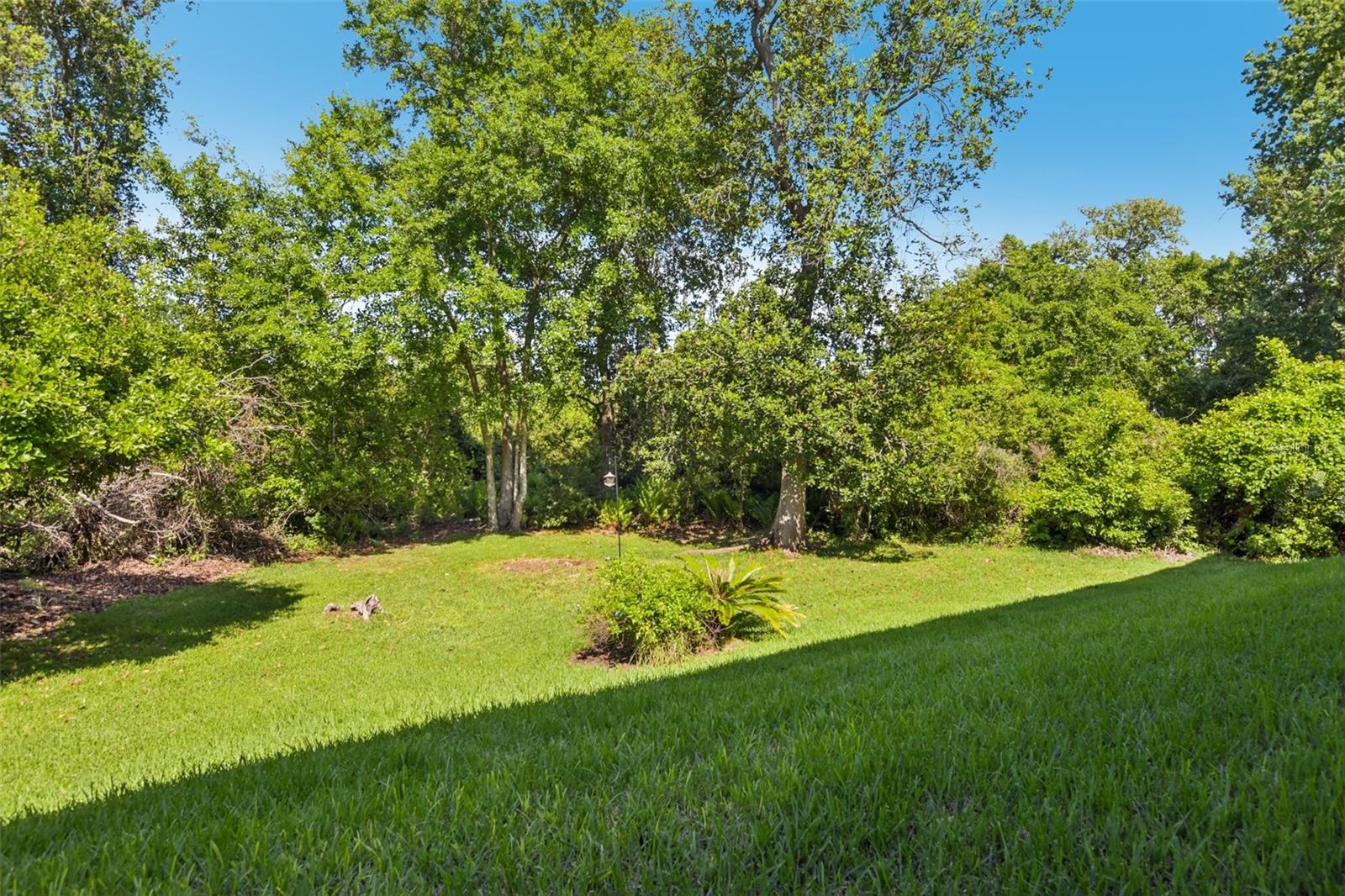 3661 COUNTRY POINTE PL, PALM HARBOR, FL — photo 23