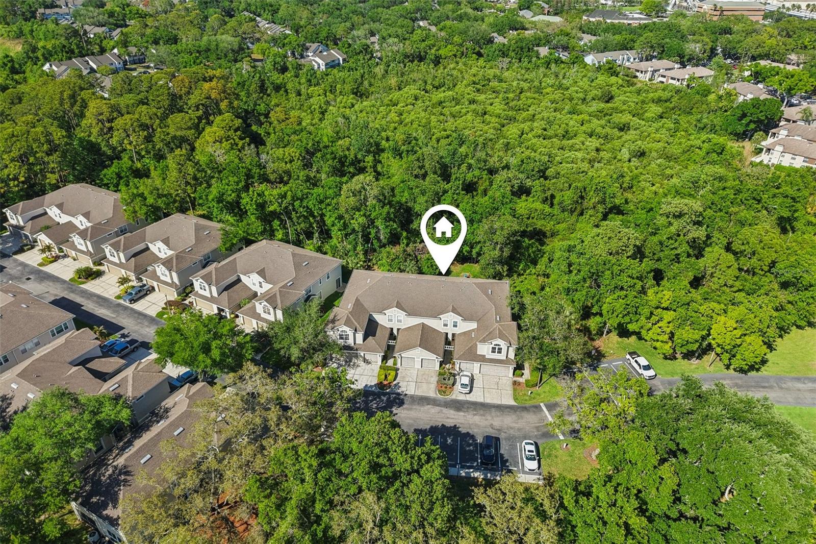 3661 COUNTRY POINTE PL, PALM HARBOR, FL — photo 25