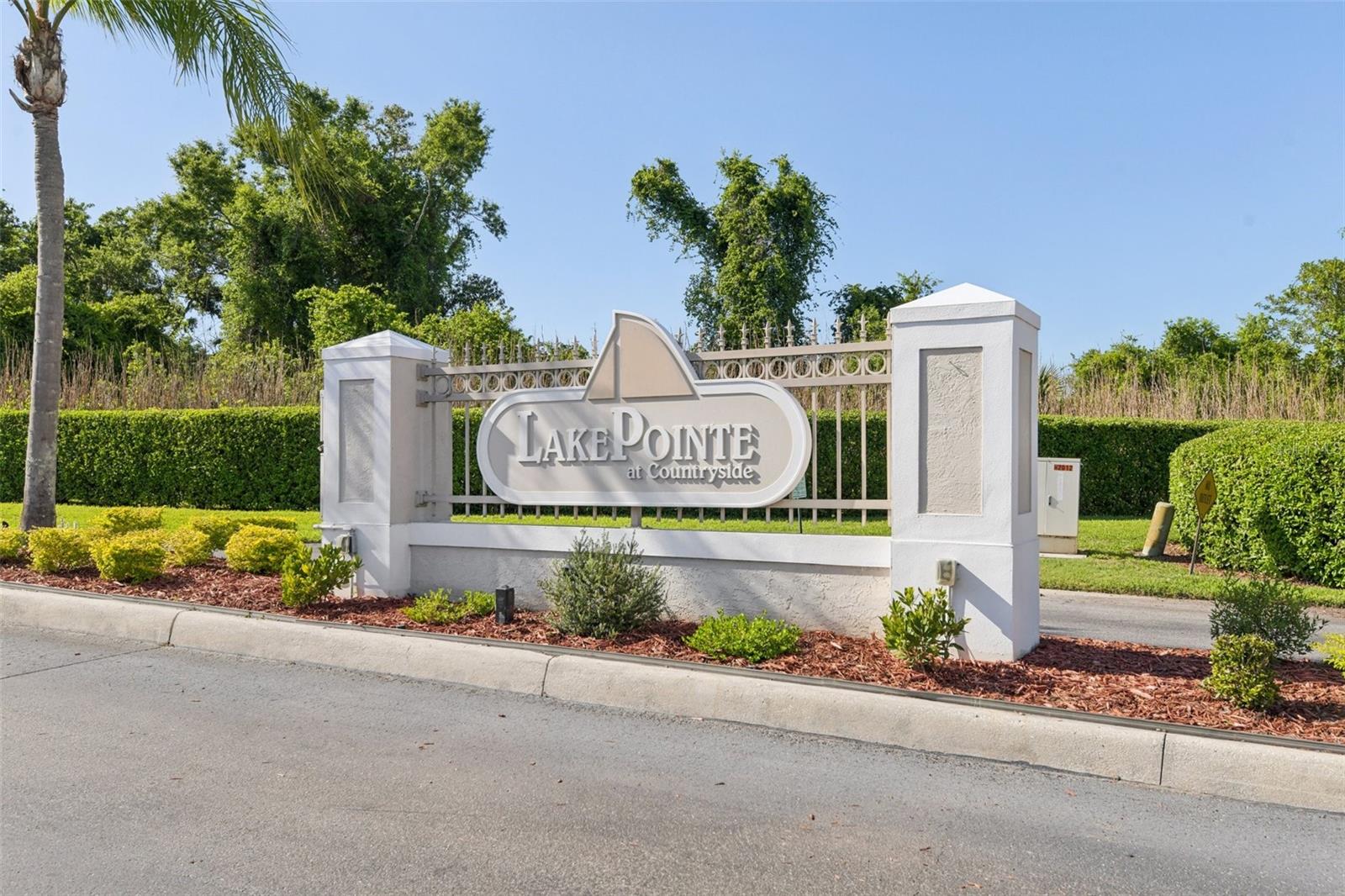 3661 COUNTRY POINTE PL, PALM HARBOR, FL — photo 26