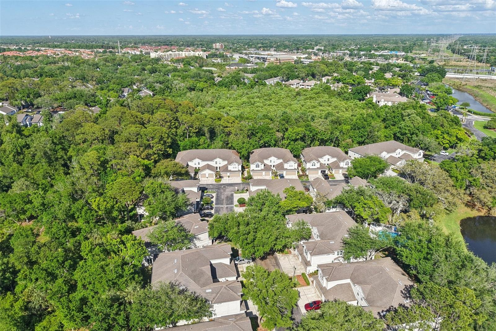 3661 COUNTRY POINTE PL, PALM HARBOR, FL — photo 28