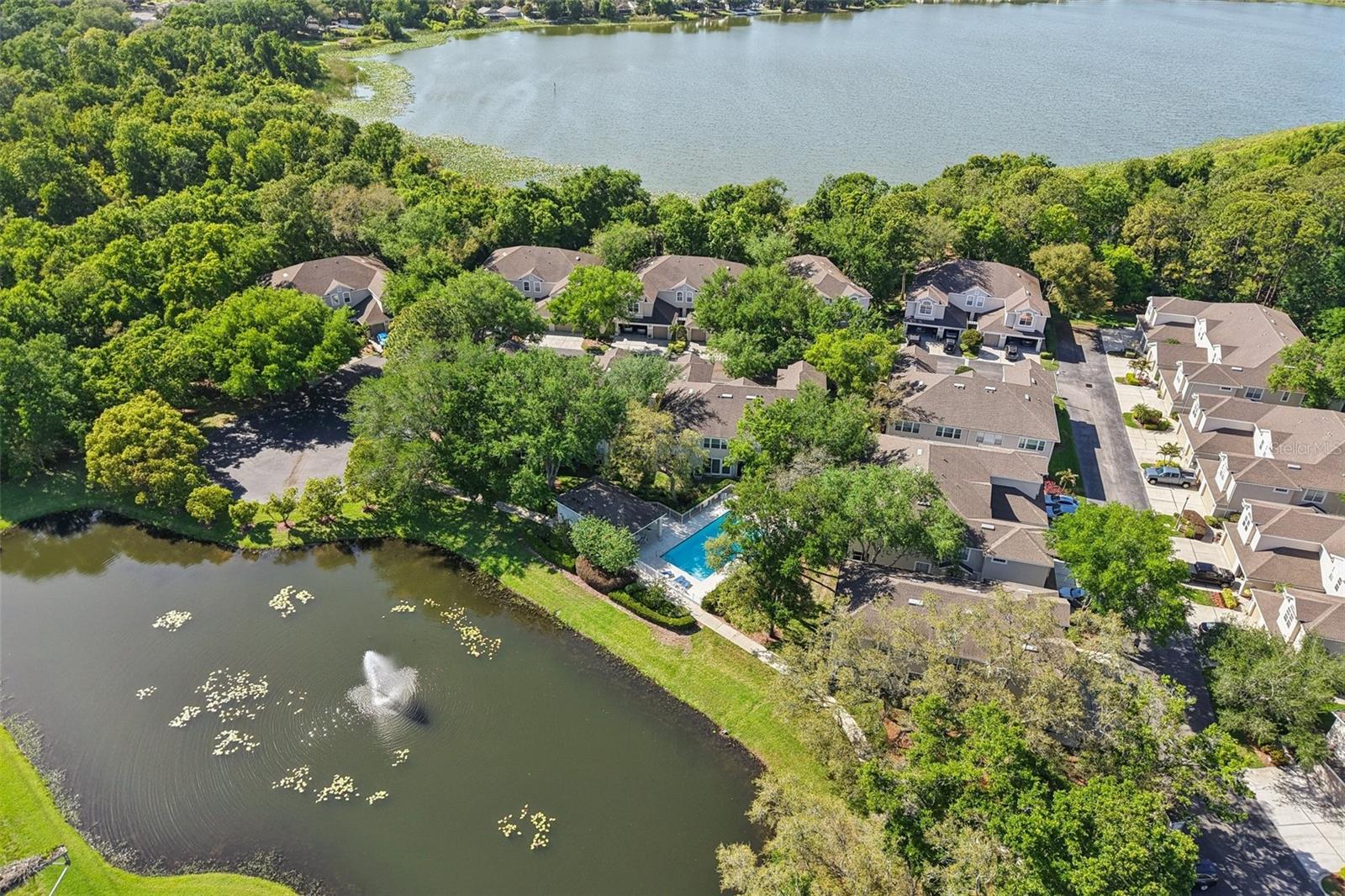 3661 COUNTRY POINTE PL, PALM HARBOR, FL — photo 29