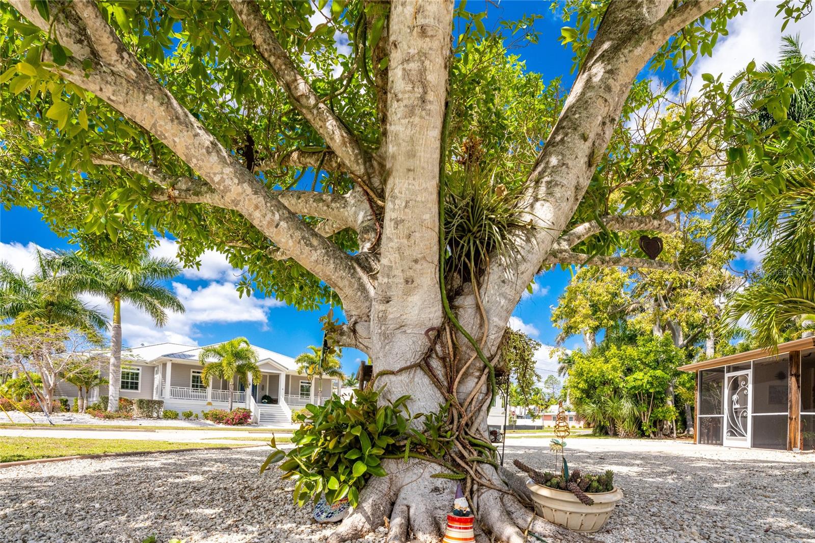 312 MCGREGOR ST, PUNTA GORDA, FL — photo 52
