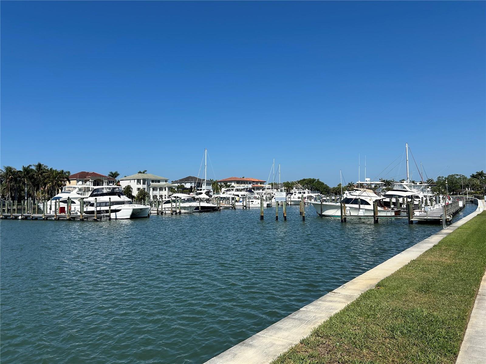 6260 KIPPS COLONY CT #203, GULFPORT, FL — photo 51