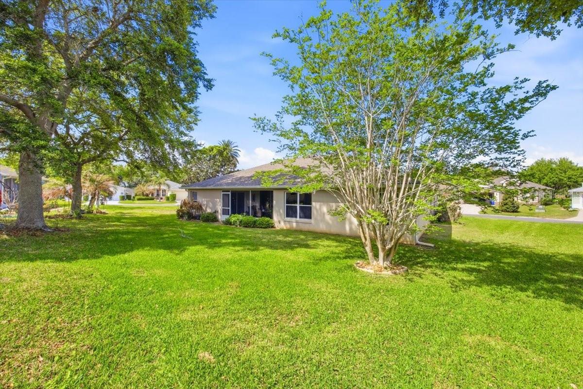 4913 RAINBOW TROUT RD, TAVARES, FL — photo 69