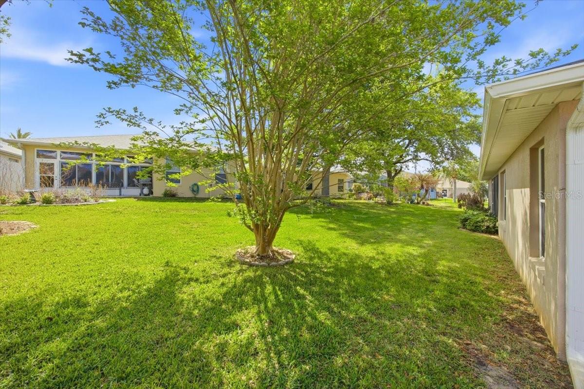 4913 RAINBOW TROUT RD, TAVARES, FL — photo 72