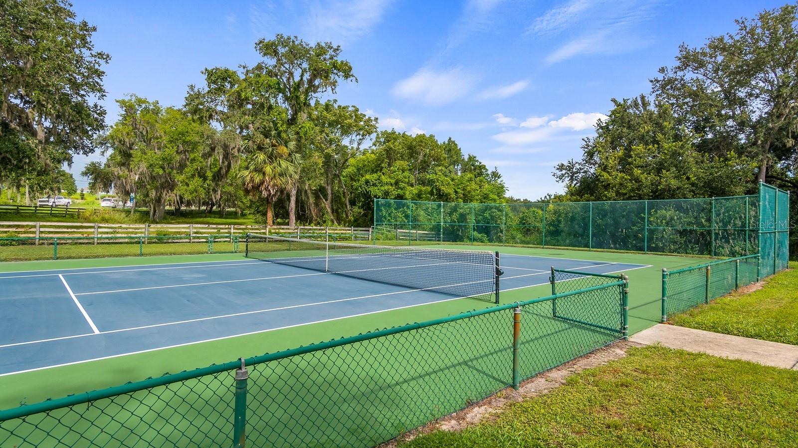 7351 SPRING MOUNTAIN LN, YALAHA, FL — photo 133