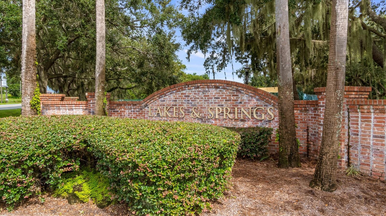 7351 SPRING MOUNTAIN LN, YALAHA, FL — photo 138