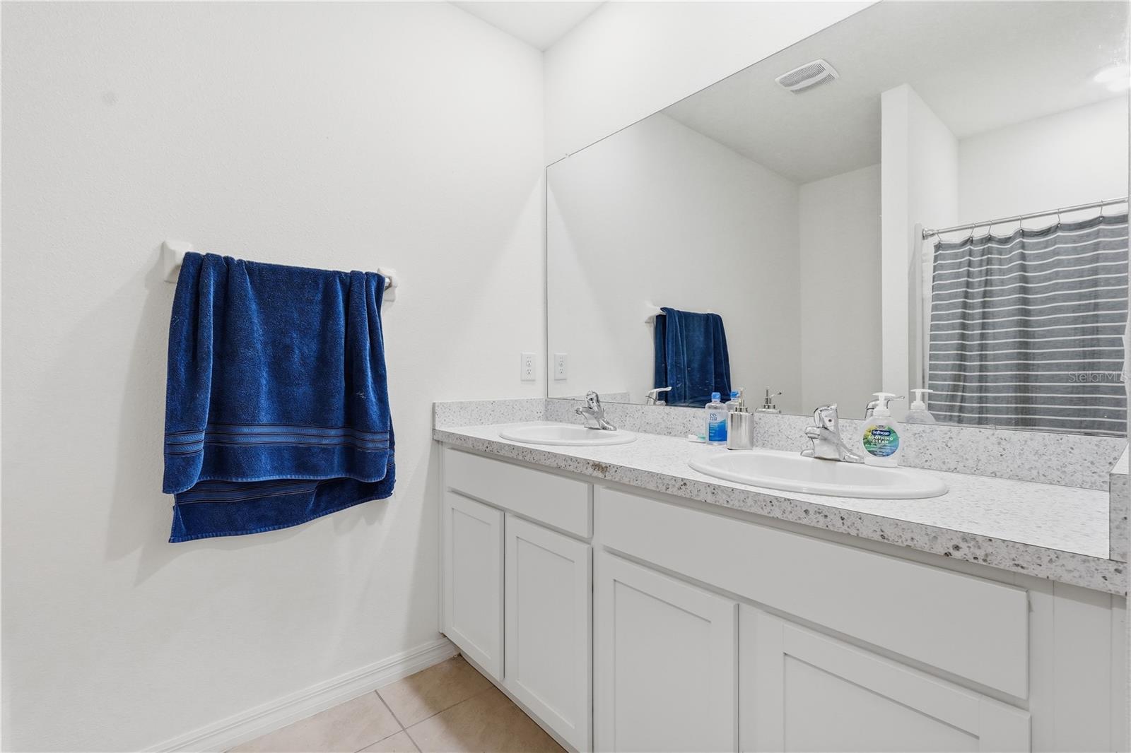 33922 JASPER STONE DR, WESLEY CHAPEL, FL — photo 10