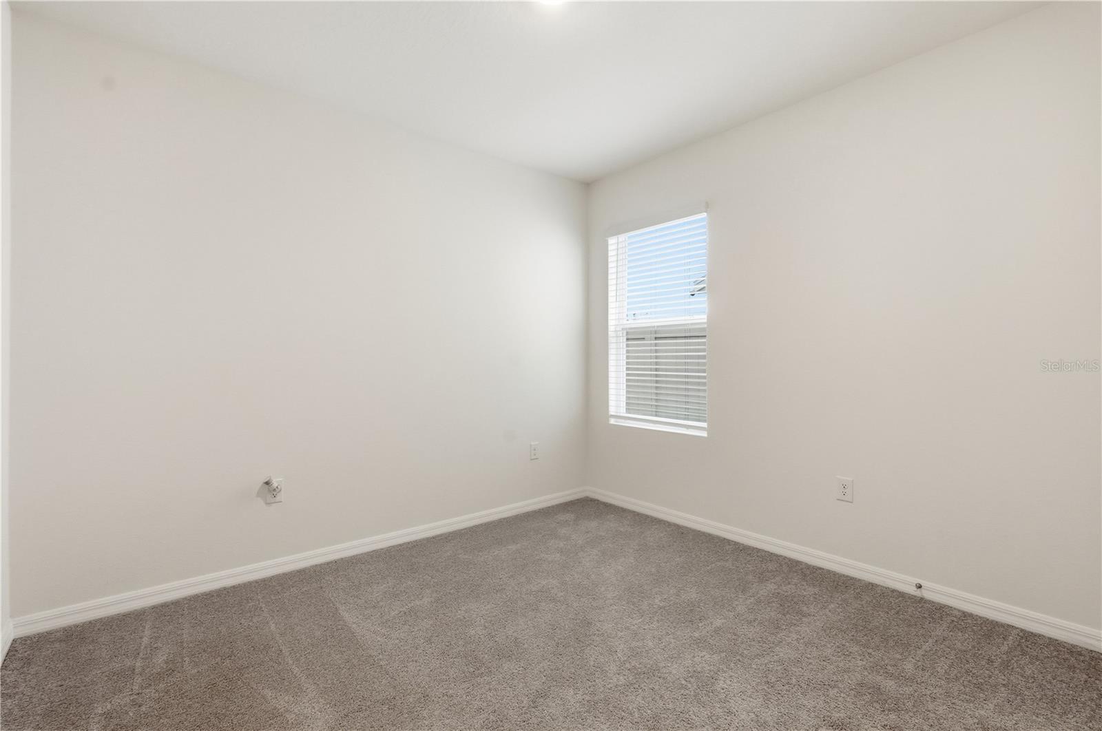 33922 JASPER STONE DR, WESLEY CHAPEL, FL — photo 17